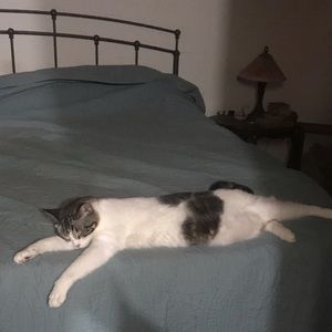 Meet your Posher, Heather